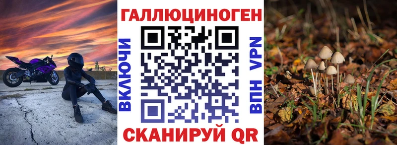 Псилоцибиновые грибы Cubensis  Купить закладки  Боровичи 